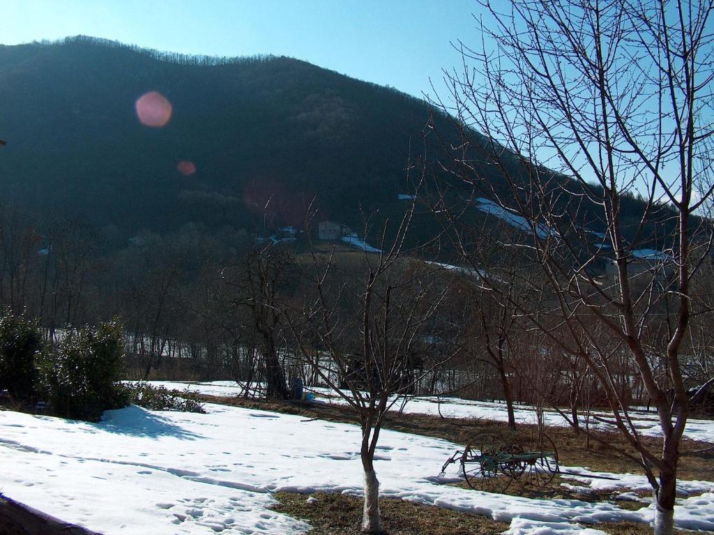 Agriturismo La Meridiana Frabosa Sottana Dış mekan fotoğraf